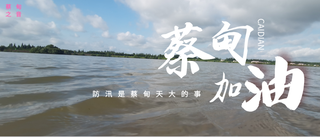 蔡甸區(qū)啟動防汛ⅰ級應(yīng)急響應(yīng)，做好鋪土釘防汛木樁工作