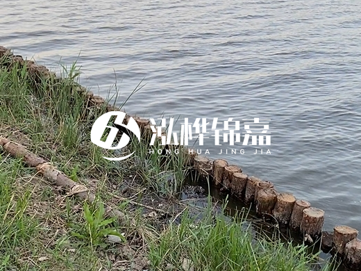 防洪松木樁施工重要性？河道打木樁的位置怎么確定？