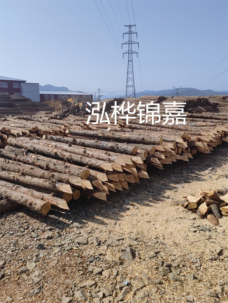 深入了解松木樁基礎(chǔ)施工單價，助力工程建設順利進行！