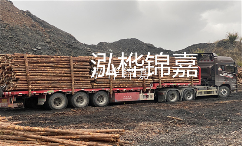 大理松木樁哪里賣？選擇合適的松木樁來保護(hù)你的建筑